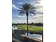 Expansive golf course views with a tall palm tree in the middle of the fairway at 36053 N Stoneware Dr, Queen Creek, AZ 85140
