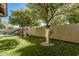 Spacious backyard with mature citrus trees and play structure on synthetic grass at 3917 E Des Moines St, Mesa, AZ 85205