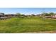 Lush community park offering open green space and landscaping for residents to enjoy outdoor activities at 5226 W Thresher Way, Laveen, AZ 85339