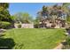Expansive backyard with lush green grass and well-maintained landscaping, perfect for outdoor activities at 6828 E Evans Dr, Scottsdale, AZ 85254