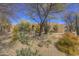 Inviting desert landscaping in the front yard of a tan home featuring cacti and stone at 7322 E High Point Dr, Scottsdale, AZ 85266