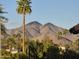 Scenic view of distant mountains framed by palm trees and lush greenery at 10015 E Mountain View Rd # 2010, Scottsdale, AZ 85258