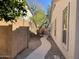 Charming backyard featuring a winding walkway, providing a serene and inviting outdoor space at 10980 E Winchcomb Dr, Scottsdale, AZ 85255