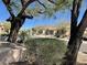 Neighborhood street view showcasing the charming desert landscape, curb appeal, and inviting atmosphere at 10980 E Winchcomb Dr, Scottsdale, AZ 85255