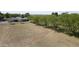 Spacious, grassy fenced-in yard with mature trees and a view of the charming single-story home at 15218 E San Tan Blvd, Gilbert, AZ 85298