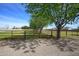 Fenced in portion of the property with mature trees at 15218 E San Tan Blvd, Gilbert, AZ 85298