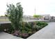 Beautiful landscaping featuring a variety of flowers and plants creates a peaceful outdoor setting at 15218 E San Tan Blvd, Gilbert, AZ 85298