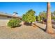 Backyard with low-maintenance desert landscaping and mature trees at 1684 Leisure World --, Mesa, AZ 85206