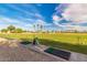 Beautiful driving range with manicured grass and palm trees creates an inviting atmosphere at 16902 W Marcos De Niza Dr, Surprise, AZ 85387