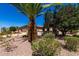 View of desert landscaping and a Palm tree in front of the house at 16902 W Marcos De Niza Dr, Surprise, AZ 85387