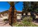 View of desert landscaping and a Palm tree in front of the house at 16902 W Marcos De Niza Dr, Surprise, AZ 85387
