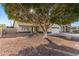 Inviting single-story house featuring a tile roof, two-car garage, and a lush, mature shade tree at 1750 N Abner --, Mesa, AZ 85205