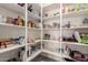 Walk-in pantry with white shelves stocked with food items and household supplies at 21647 S 223Rd Pl, Queen Creek, AZ 85142