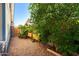 Charming side yard featuring gravel ground, lush greenery, and wooden planters, perfect for gardening at 2962 E Dolphin Ave, Mesa, AZ 85204