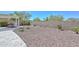 Spacious backyard with desert landscaping, paved patio, tall privacy fence and outdoor kitchen at 29674 N 127Th Ln, Peoria, AZ 85383