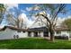 Expansive backyard featuring a manicured lawn, mature tree, and a covered brick patio with seating at 4331 E Avalon Dr, Phoenix, AZ 85018