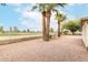 Desert landscaped backyard featuring palm trees and views of the adjacent golf course at 5022 E Magic Stone Dr, Phoenix, AZ 85044