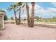 Desert landscaped backyard with mature palm trees and views of the surrounding area at 5022 E Magic Stone Dr, Phoenix, AZ 85044