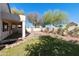 Spacious backyard with mature landscaping, covered patio, and lush green lawn at 770 W Kent Pl, Chandler, AZ 85225