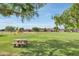 Community park with grassy field, playground, and picnic area at 770 W Kent Pl, Chandler, AZ 85225