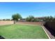 Backyard with a well-manicured lawn, block wall and landscaping at 24113 N 26Th Pl, Phoenix, AZ 85024