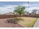 Expansive backyard featuring a mature tree, rockscape and block wall for privacy at 2889 S 161St Dr, Goodyear, AZ 85338