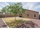 Spacious backyard with a mature tree, a covered patio, and a well-maintained lawn at 2889 S 161St Dr, Goodyear, AZ 85338