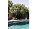 Swimming pool with mature shade tree and flowering shrubs that provide ample privacy at 3147 W Phelps Rd, Phoenix, AZ 85053