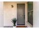 Inviting front entrance showcasing a gray door, decorative plant, and modern lighting fixture at 3467 S Falcon Dr, Gilbert, AZ 85297