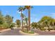 Scenic street view with tall palm trees, lush greenery, and well-maintained landscaping at 4705 E Winston Dr, Phoenix, AZ 85044