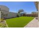 Backyard featuring artificial grass, mature landscaping, and a privacy wall at 4832 S Ferric --, Mesa, AZ 85212