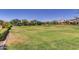 Expansive green space with mature trees and landscaping in a well-maintained community at 4832 S Ferric --, Mesa, AZ 85212