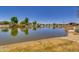 Picturesque community pond reflecting the surrounding homes and park amenities at 4832 S Ferric --, Mesa, AZ 85212