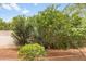 Lush backyard with mature trees providing shade and privacy at 5211 N 24Th St # 104, Phoenix, AZ 85016
