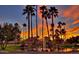 Picturesque pond reflecting a vibrant sunset, complemented by palm trees and community architecture at 9705 E Mountain View Rd # 1064, Scottsdale, AZ 85258