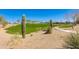 A scenic green space featuring native plants and walking paths for enjoying the beautiful natural surroundings at 14188 W Artemisa Ave, Surprise, AZ 85387