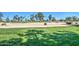 Scenic view of the lush green golf course showcasing mature trees and well-maintained landscaping at 25273 S Berry Brook Dr, Sun Lakes, AZ 85248