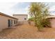 Spacious backyard featuring low maintenance desert landscaping at 2624 E La Costa Dr, Chandler, AZ 85249