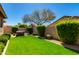 Lush backyard featuring a mature tree, green lawn, and a cozy seating area for relaxing at 29374 N 68Th Ln, Peoria, AZ 85383