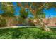 Lush backyard featuring a mature shade tree and swing; basketball court visible in background at 3046 E Athena Ave, Gilbert, AZ 85297