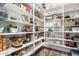 Walk-in pantry with well-organized shelves filled with a variety of food items at 3046 E Athena Ave, Gilbert, AZ 85297