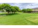 Lush community green space featuring mature trees and landscaped areas, perfect for outdoor activities at 41444 W Capistrano Dr, Maricopa, AZ 85138