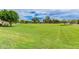 Expansive green space in the community, perfect for outdoor activities and enjoying nature at 41444 W Capistrano Dr, Maricopa, AZ 85138