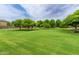 Expansive community green space featuring mature trees, perfect for outdoor activities at 41444 W Capistrano Dr, Maricopa, AZ 85138