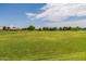 Large, well-maintained community soccer field perfect for recreational sports and outdoor activities at 41444 W Capistrano Dr, Maricopa, AZ 85138