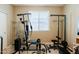 Spacious exercise room featuring free weights, weight machine, and carpet flooring at 4557 W South Butte Rd, San Tan Valley, AZ 85144