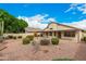 Expansive backyard featuring desert landscaping, shrubbery, and mature trees at 9715 E Osage Ave, Mesa, AZ 85212