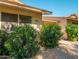 Charming exterior view showcasing well-maintained landscaping, a welcoming entrance, and a neatly kept facade at 13275 W Bolero Dr, Sun City West, AZ 85375