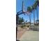 Community basketball court with a net and view of a lake and palm trees at 1449 W Commerce Ave, Gilbert, AZ 85233
