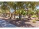 Community pool area featuring a gated fence, lounge chairs, landscaping, a covered ramada and mature trees at 2024 S Baldwin St # 161, Mesa, AZ 85209